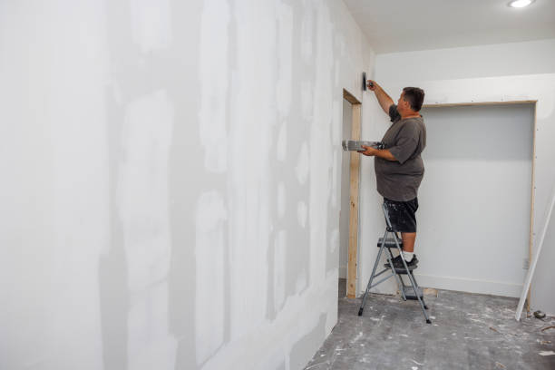 Best Mold-Related Health Consultation  in Alma, AR
