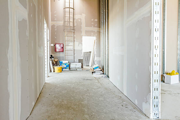 Best Black Mold Removal  in Alma, AR