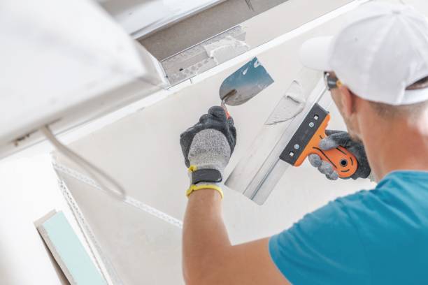 Best Mold Damage Restoration  in Alma, AR